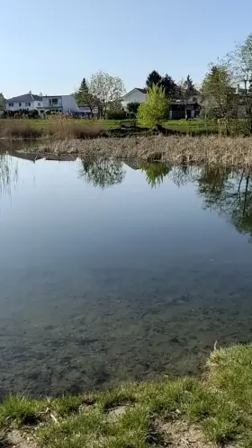 look at this beautiful lake... and at my cock 😋👀