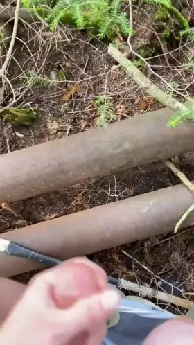 Letting one loose in the woods