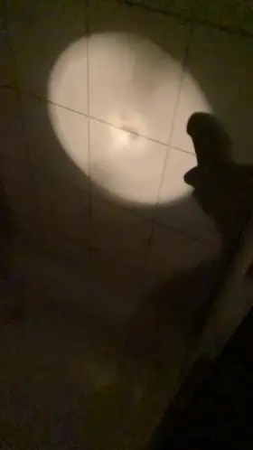 I might have hyperspermia