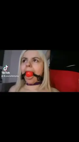 That’s my new dog 🐩 don’t worry she doesn’t bite