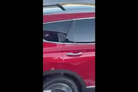 X-post from r/trashyboner