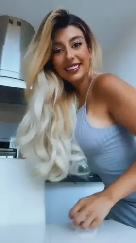 Persian Swiss scottish