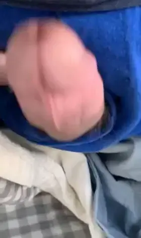 Catch Me If You Can Porn GIF