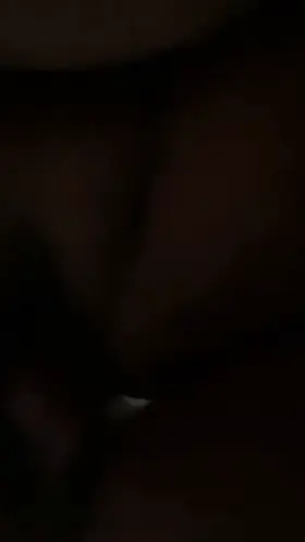 Doggy from down under