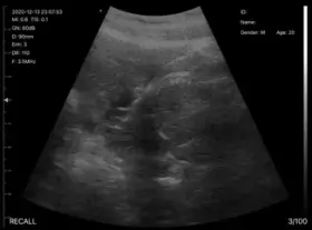 Science is fun my dudes!