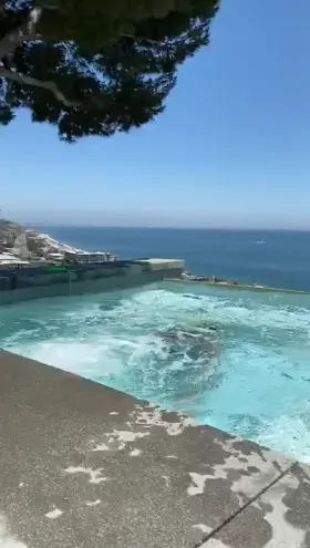 Beautiful pool reveal