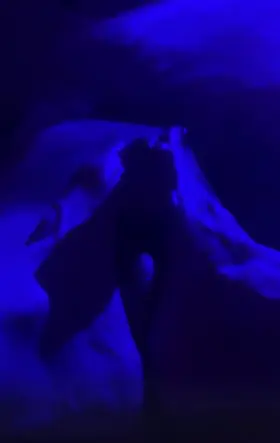 This redditor milf stroking my cock