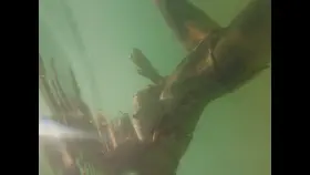 Waterbaby 🧜‍♀️