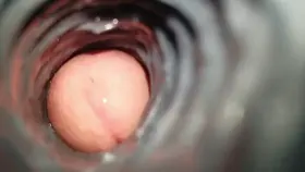 View from inside my toy