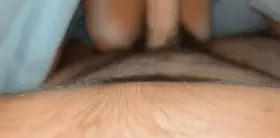 Found this cutie on the beach