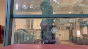 View from my terrace