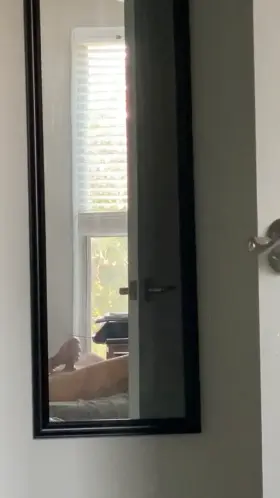 since my post got removed for not being a video yesterday…