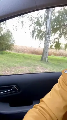 Would you just watch or straight up pull your dick out? [OC] [GIF]