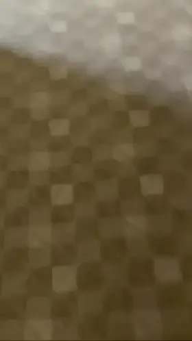 Holly Milkers 😍🍈 UPDATED FREE PACK 👇👇