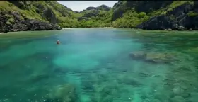 Former Olympian swimmer turned MILF Inge de Bruijn shocked the Netherlands with her curvy body when she took part in a naked dating show called 'Adam seeks Eve'