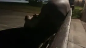 Quiet neighborhood being naughty