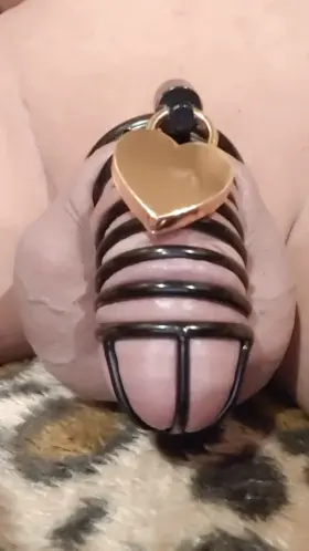 Feeling my 💛 beat in my cage (Day 7 of NNN)