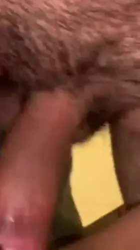 Keeping the cookie wet wet!!