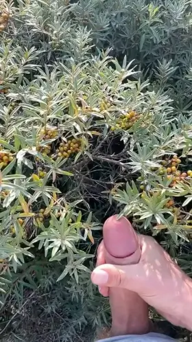 Feeding the soil with high-quality protein 🍆💦