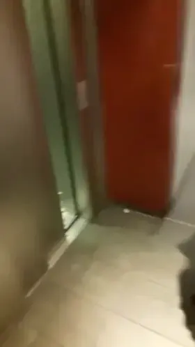 My entire apartment block is filled with desperately horny femboys. You may think that's a blessing, but I can't even leave the apartment without having a group of bimbois slobber over my cock