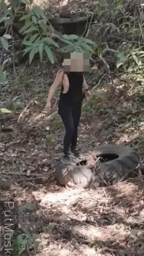 Exploring the [F]orest