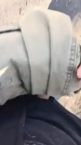 Got dared to hike through a public park with my cock out- passed a couple hikers like this don't think they noticed