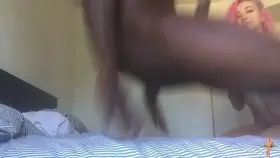 Pink hair black cock