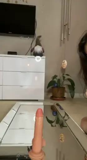 Love My Lips Around A Dick [F]