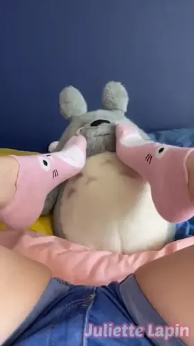Totoro under my socks