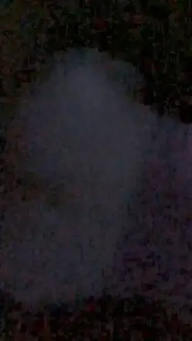 My wife bent over from me