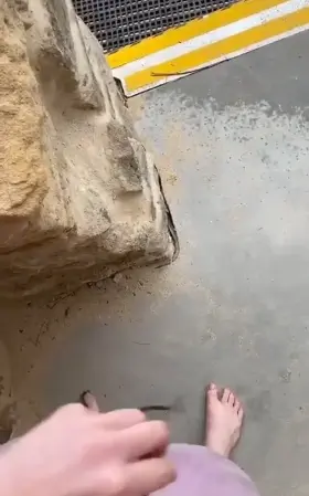 First time at a nude beach but no body was there to see me except the people walking by on the trail