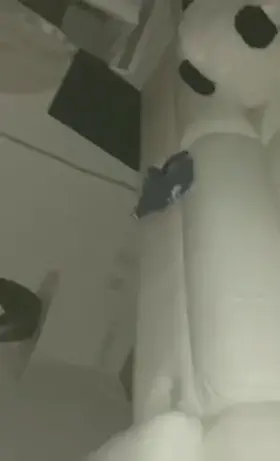 The eyes at the end 👀