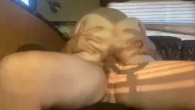 Hot milf loves riding cock! Who’s got next? 😈 check ⬇️