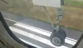 Airplane lands on Deer