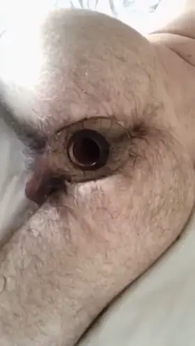 When my tunnel plug is in my hole is permanently open for you to use as you please.