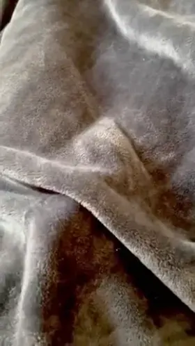 Breakfast in bed 😉You better enjoy