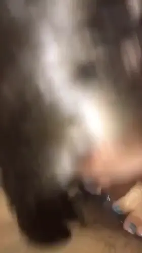 Amateur Cumshot Deepthroat Sloppy Porn GIF by sneakycuh