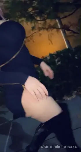 This detective was poking around my business as apart of the Mafia. So I sent my best hopper in to possess her when she got too close. We are now walking her to the car so we can work out what to do with her. My hopper friend is a bit to excited to play with this one on the way to the car.