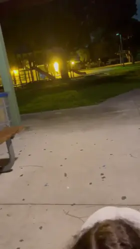 sucking dick in the park