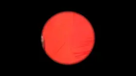 Xtube Famous Gloryhole for Hung 8