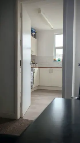 This is the normal way to do housework right?