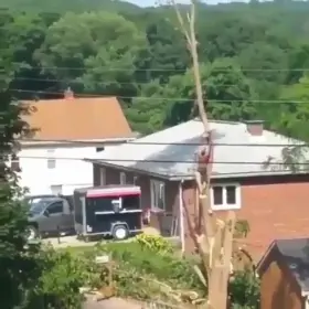 HMFT after I do this for cheaper than the tree cutting service