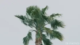 TREATING OURSELVES... AGAIN! Featuring Jean Hollywood Shiri Allwood Kenzie Anne source check comment