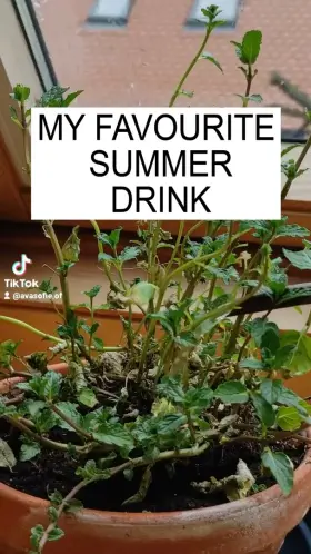 It turned out so trashy that it's funny again, don't you agree? 😂