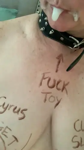 My kitty wears her rewards. She’s a good girl.