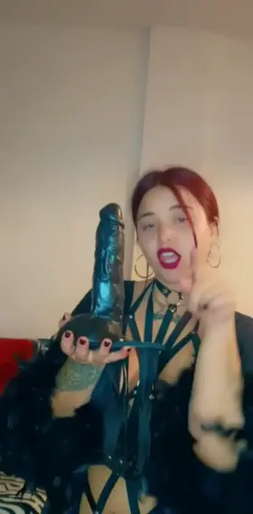 I'm online, I want to humiliate that little thing. would you like it ?