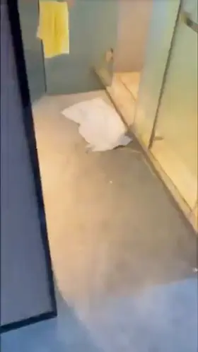 Room Service / Delivery compilation