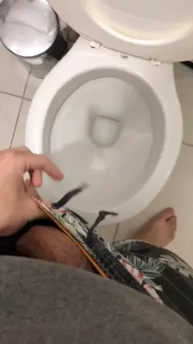 How about a foreskin semi hard dick before piss?