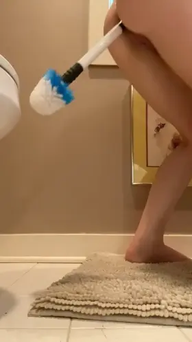 [f19] Here’s how I clean toilets for my owner u/guyscoutgirl