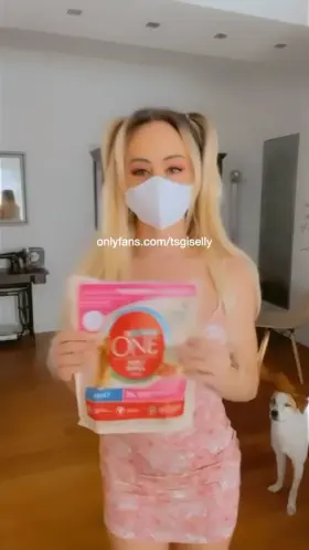 Do you need a dog sitter?